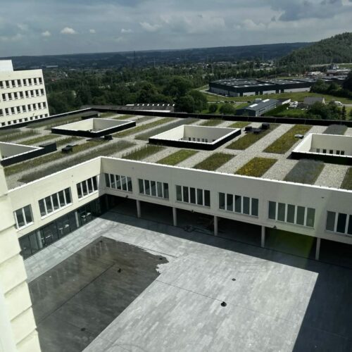 vue depuis les toitures végétisées