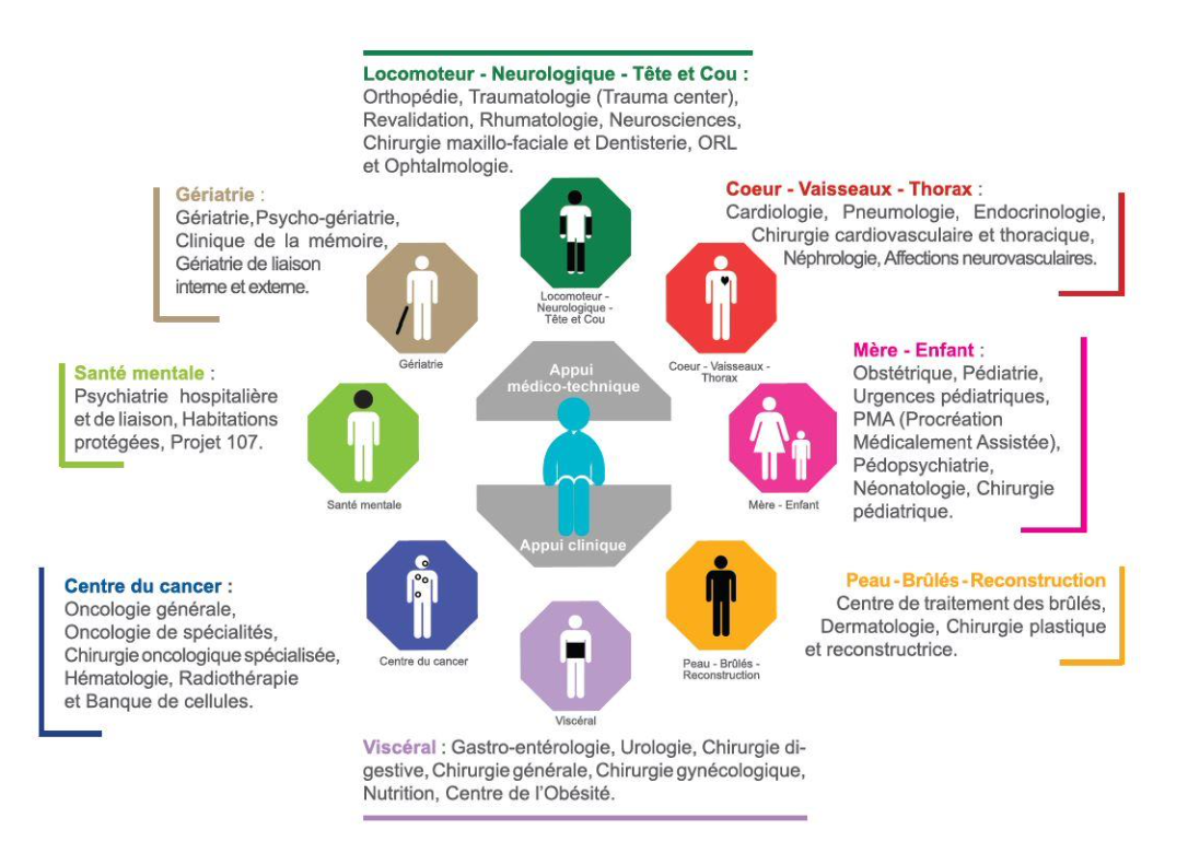 Infographie présentant les différents services médicaux réunis au sein du GHDC, incluant les spécialités en locomoteur, neurologie, cardiologie, santé mentale, oncologie, pédiatrie, chirurgie plastique et d'autres domaines médicaux.